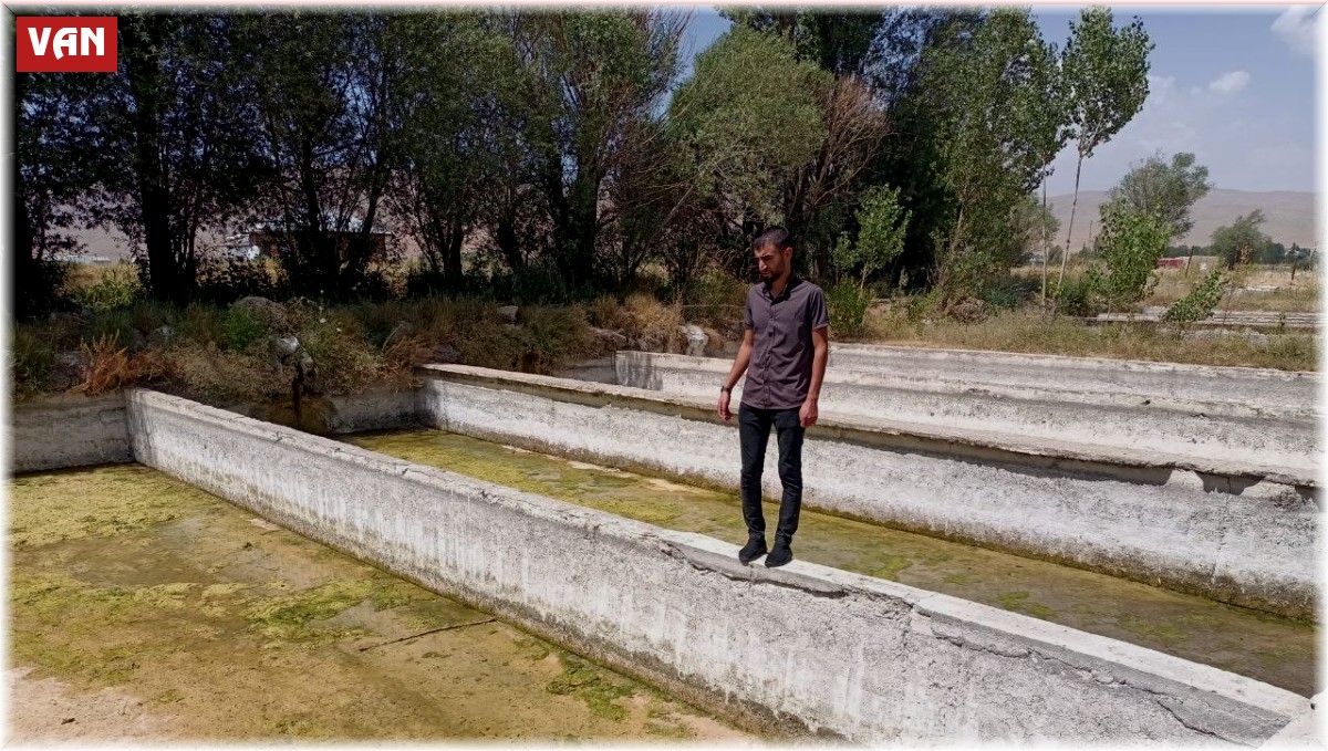 Gürpınar'daki tesiste binlerce balık telef oldu