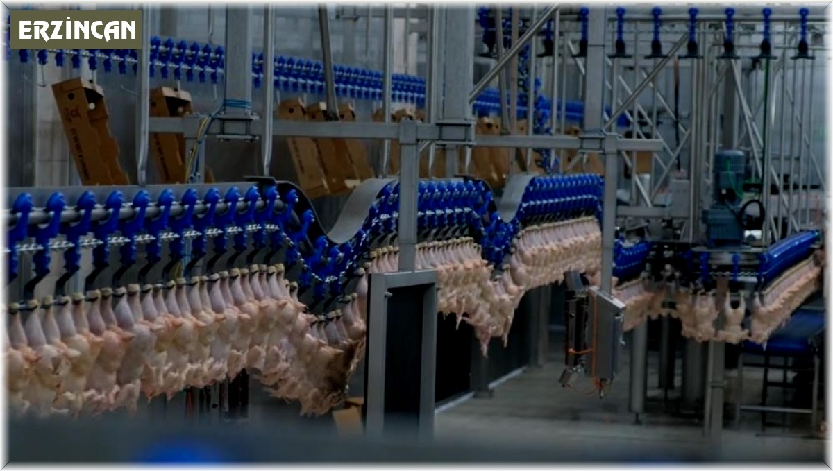 Güven endeksi perakende ticaret sektöründe azaldı