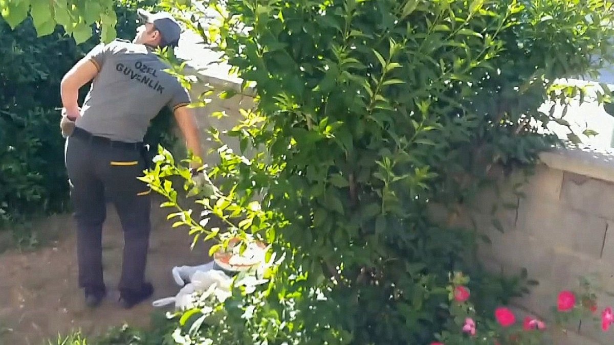 Güvenlik görevlisine karga saldırısı