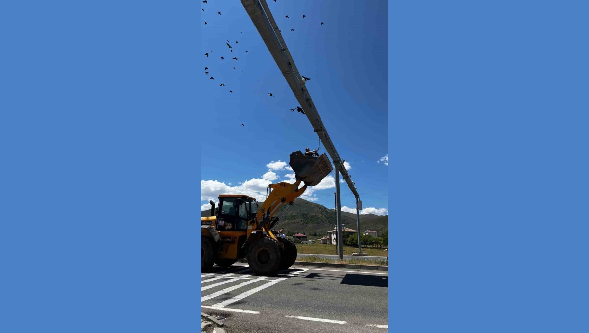 Güvenlik kamerası direğine takılan karga için seferber oldular