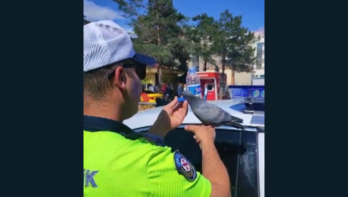 Güvercine su içiren trafik polisi merhametiyle yürekleri ısıttı