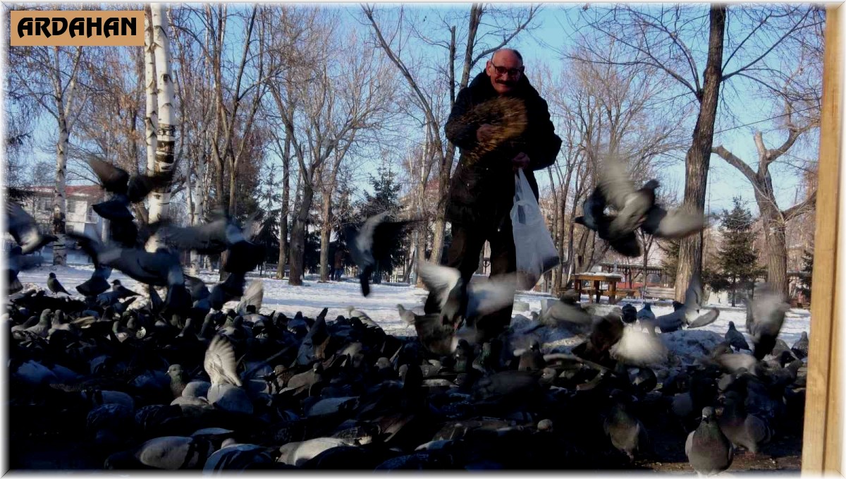 Güvercinleri soğuk günlerde her gün besliyor