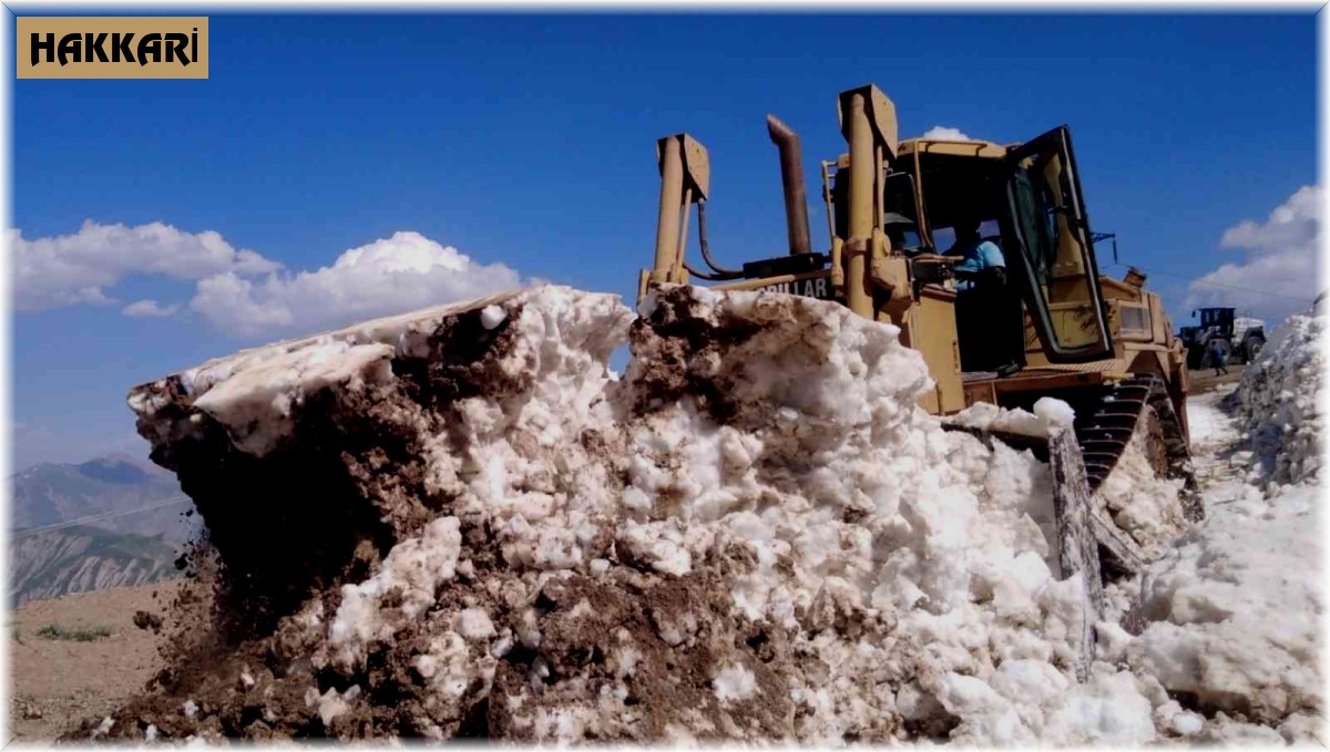 Hakkari 3 bin 500 rakımda zorunlu su çalışması