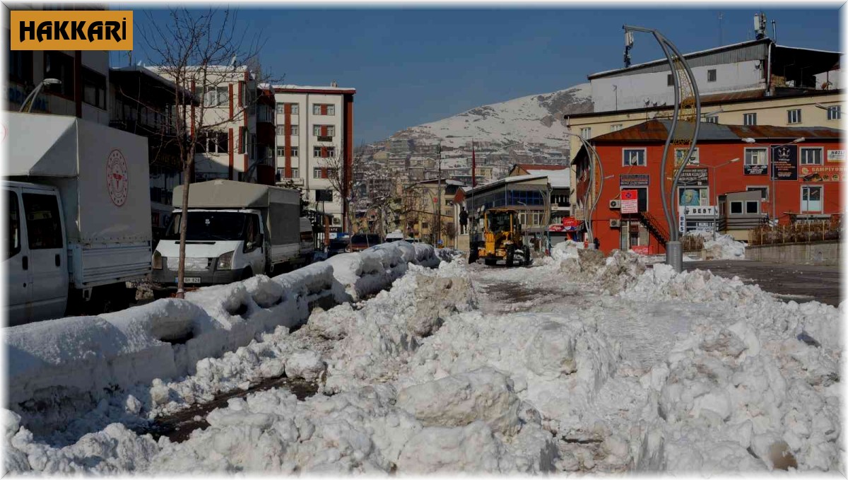 Hakkari belediyesi 11 noktadan şehir dışına kar taşıyor
