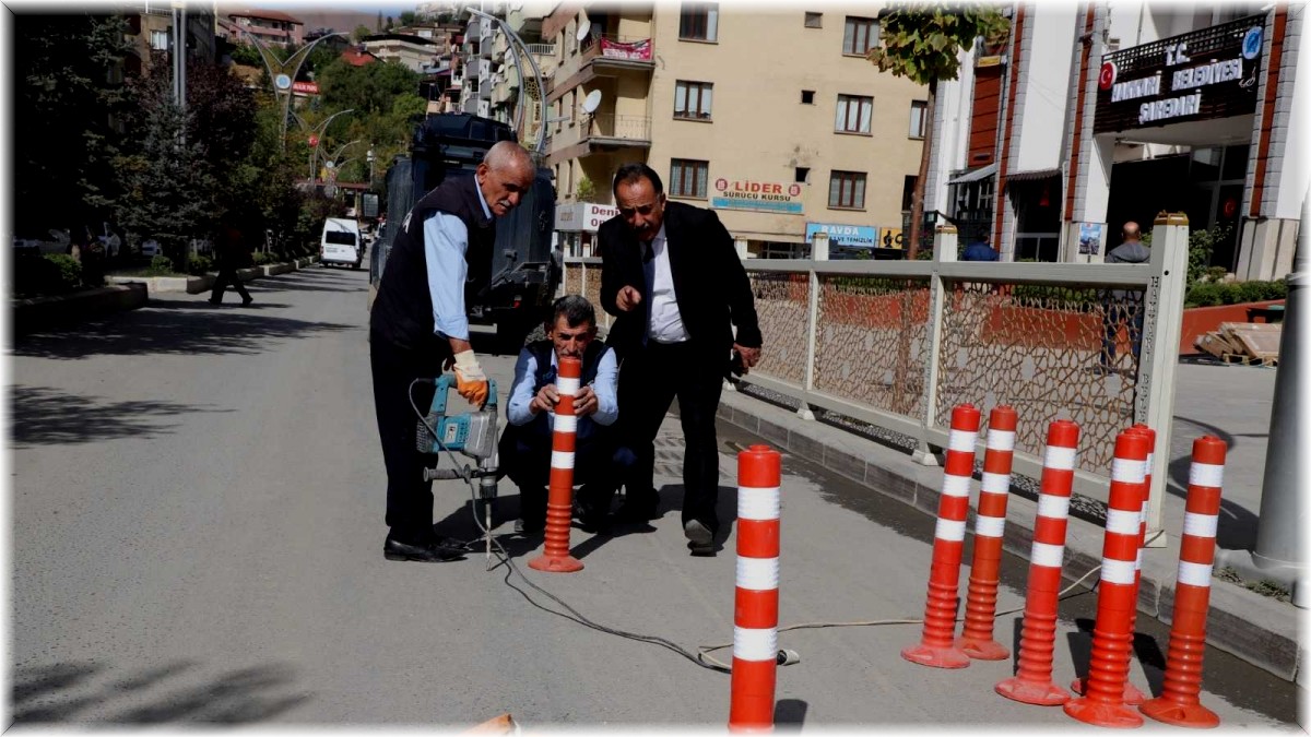 Hakkari Belediyesinden duba çalışması