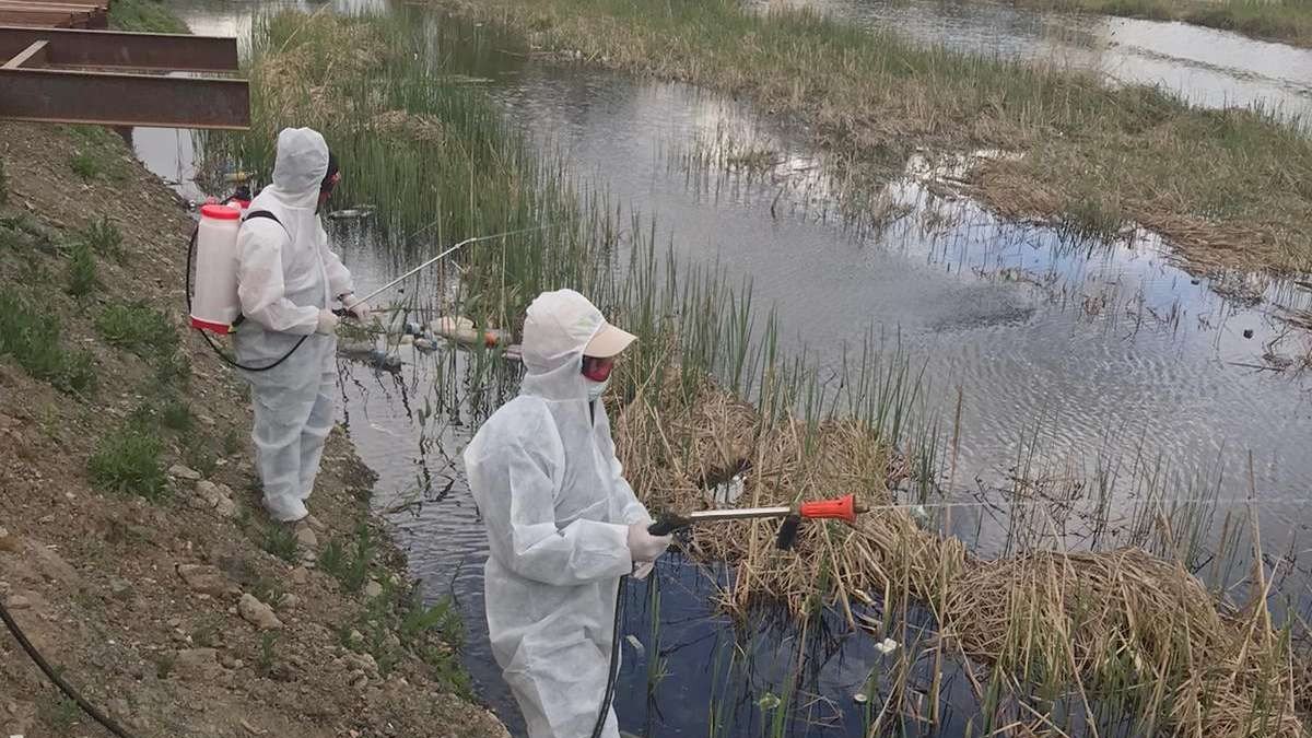 Hakkari Belediyesinden ilaçlama çalışması
