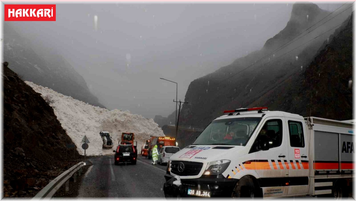 Hakkari-Çukurca kara yolu çığdan temizleniyor