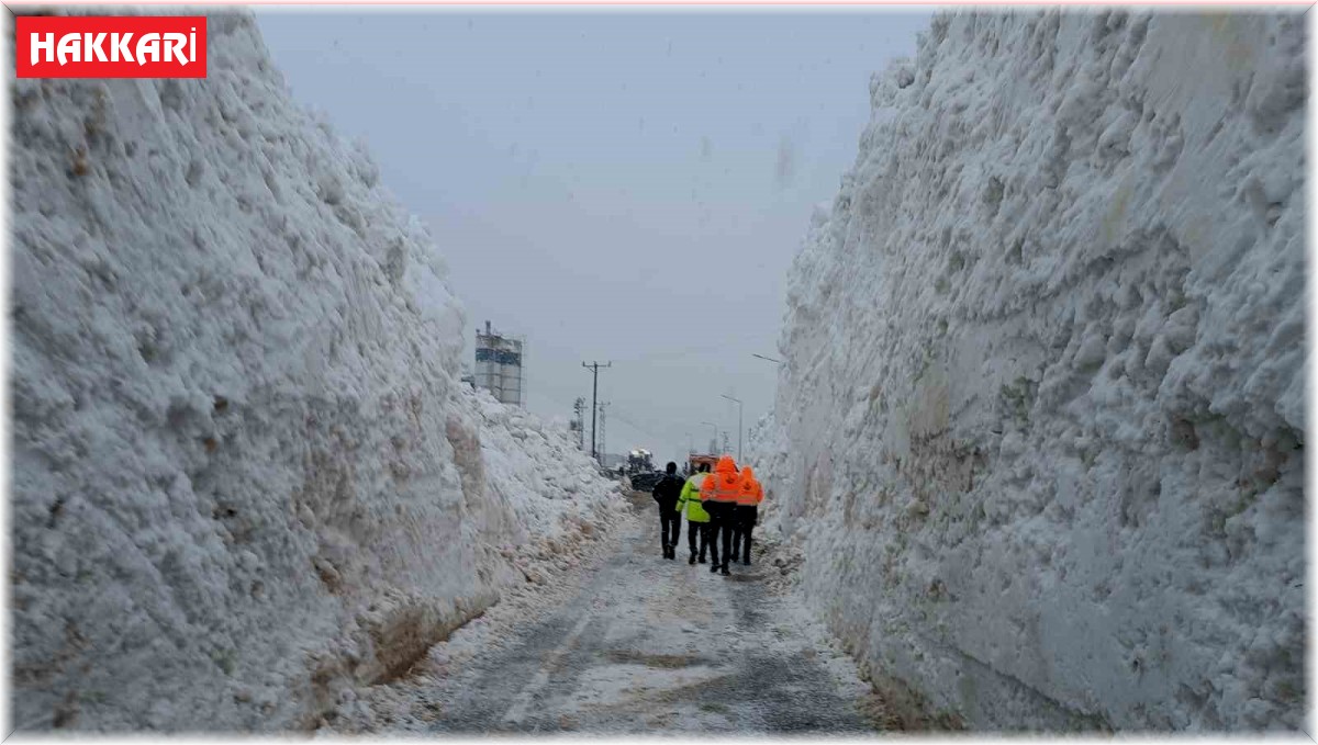 Hakkari-Çukurca kara yolu ulaşıma açıldı
