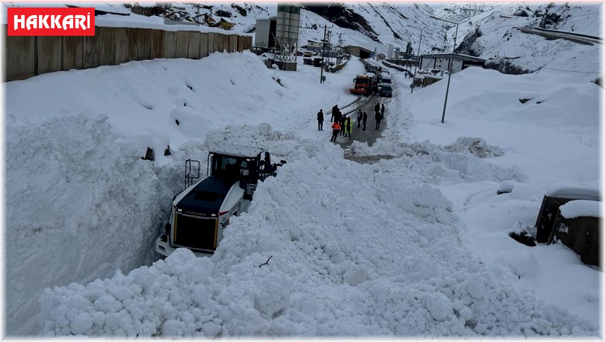 Hakkari-Çukurca Karayoluna düşen çığ temizlendi