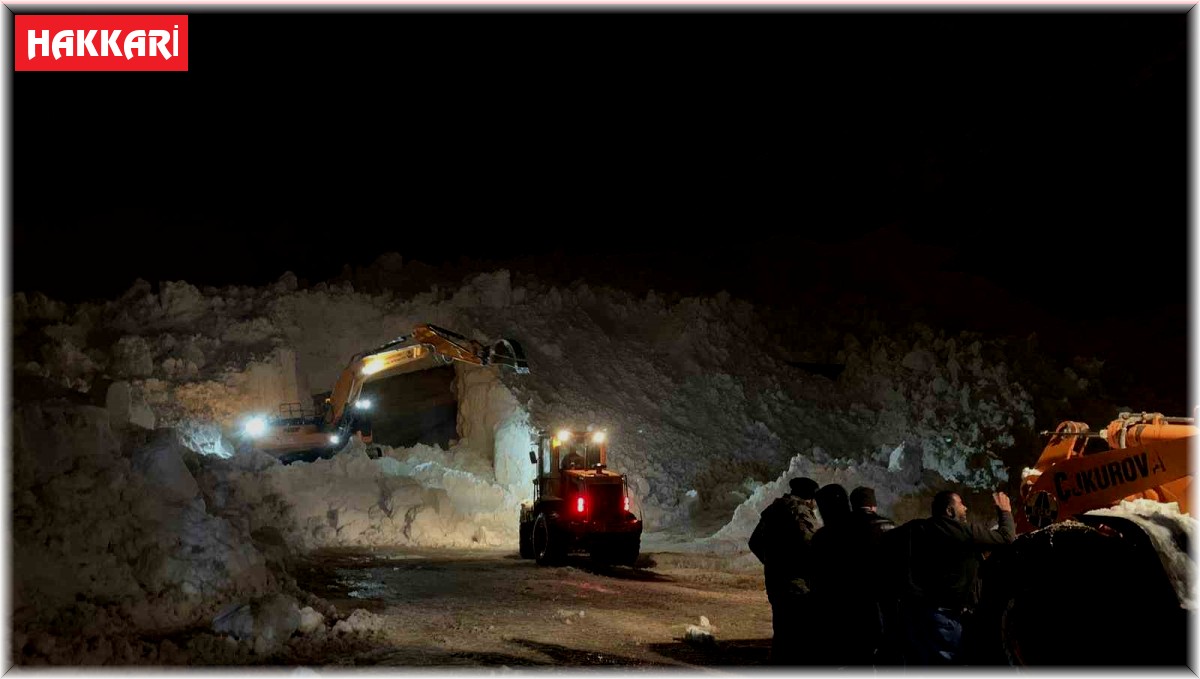 Hakkari-Çukurca karayoluna düşen çığlar ekipleri teyakkuza geçirdi