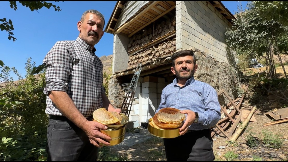 Hakkari dağlarında bal hasadı başladı