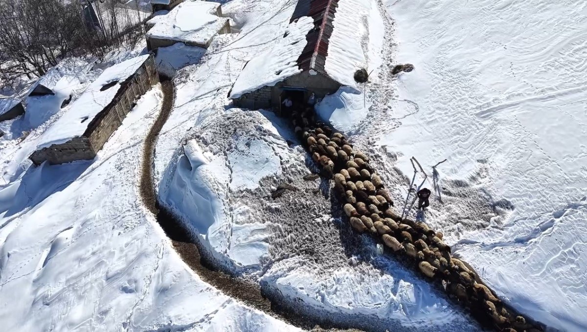 Hakkari'de 1 buçuk metreyi aşan karda çiftçilerin zorlu mesaisi sürüyor
