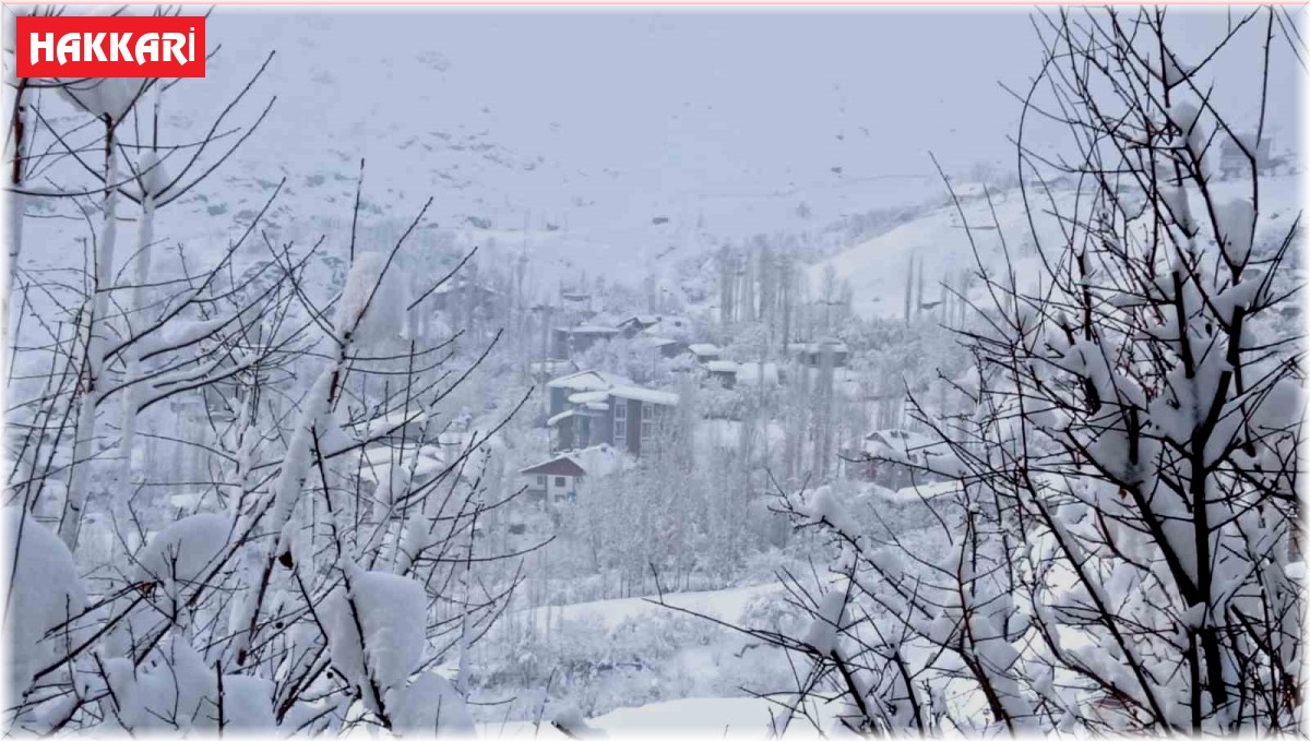 Hakkari'de 109 köy ve 235 mezra yolu kapandı