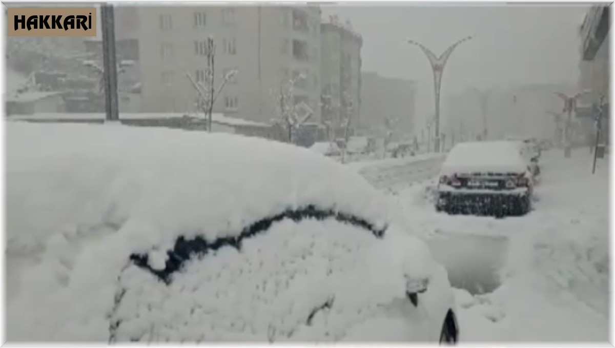 Hakkari'de 109 yerleşim yolu ulaşıma kapandı