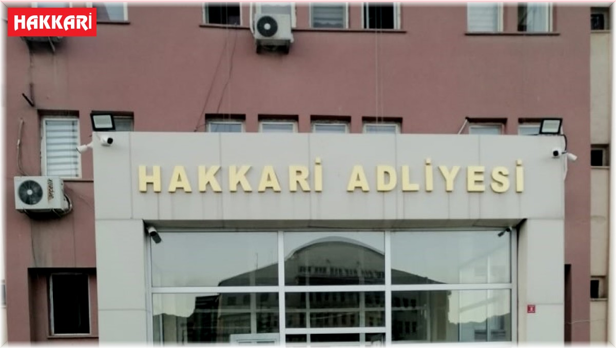 Hakkari'de 11 kişi tutuklandı