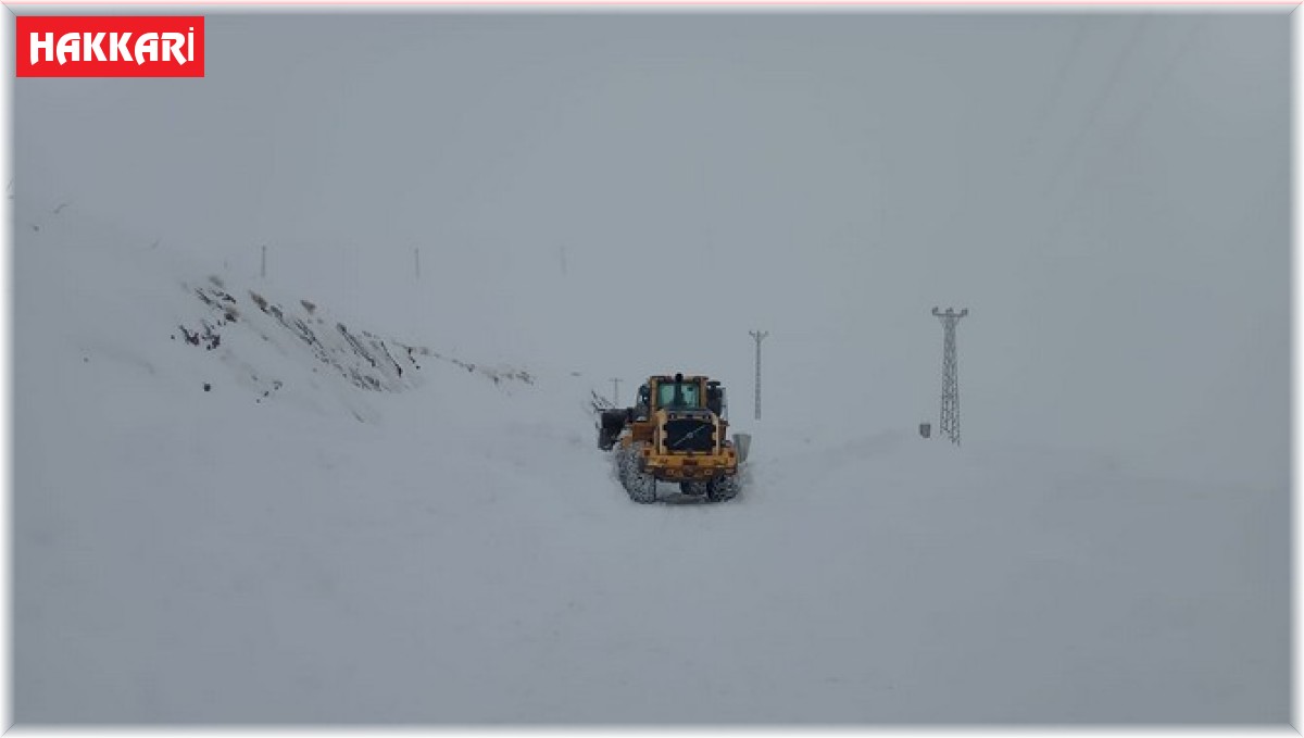 Hakkari'de 13 yerleşim yerinin yolu ulaşıma kapandı