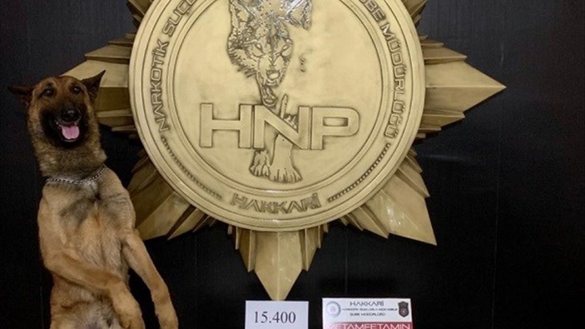 Hakkari'de 15 kilo 400 gram sentetik uyuşturucu ele geçirildi