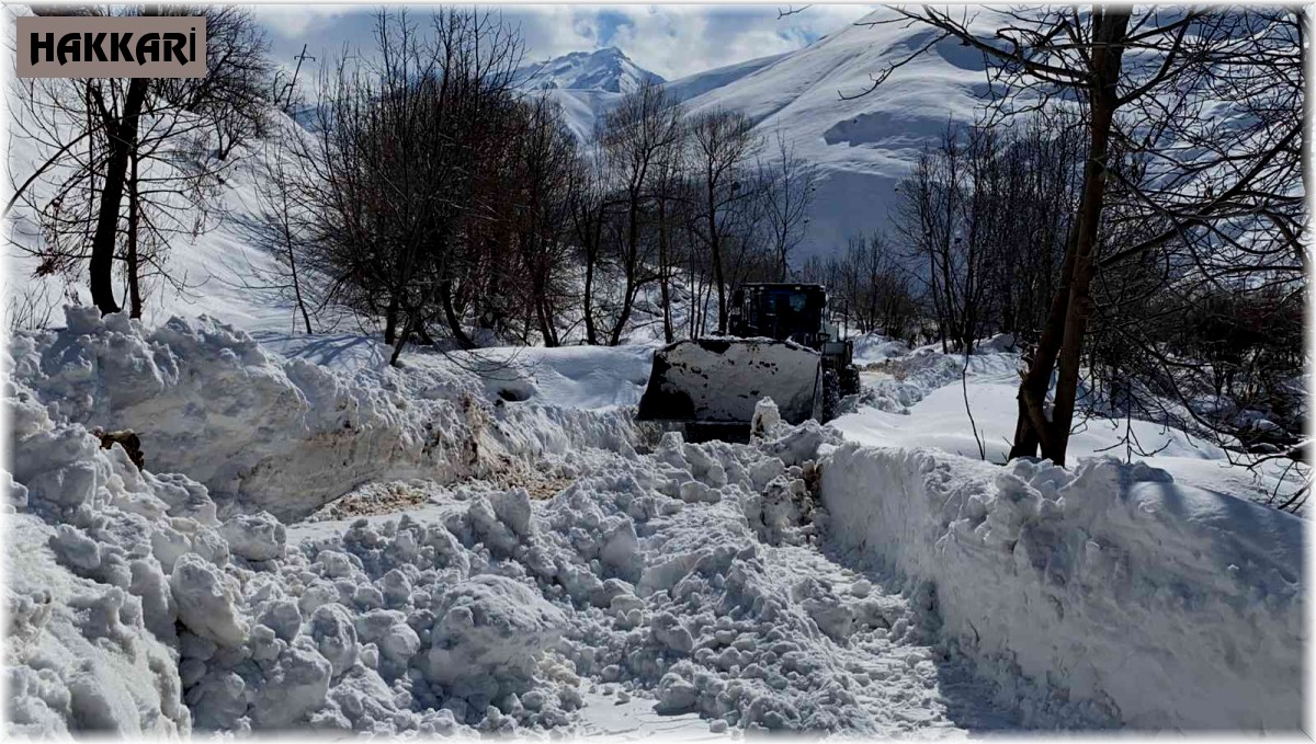 Hakkari'de 15 yerleşim yerinin yolu ulaşıma kapandı