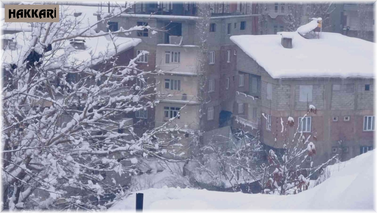 Hakkari'de 155 yerleşim yeri yolu ulaşıma kapandı