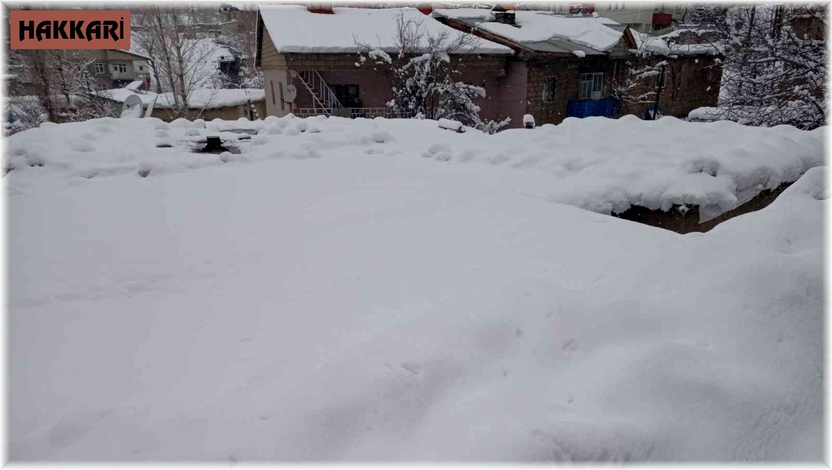 Hakkari'de 159 yerleşim yerinin yolu ulaşıma kapandı