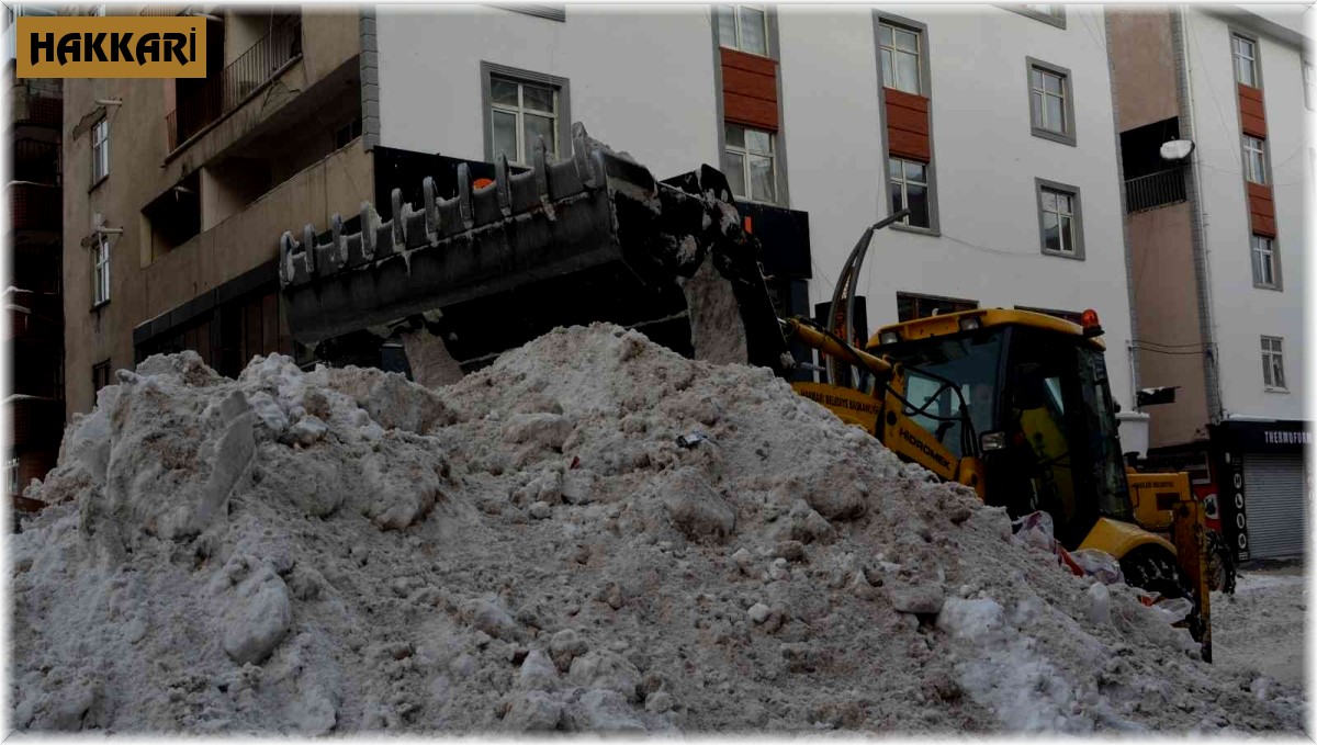 Hakkari'de 16 iş makinesiyle kar taşınıyor
