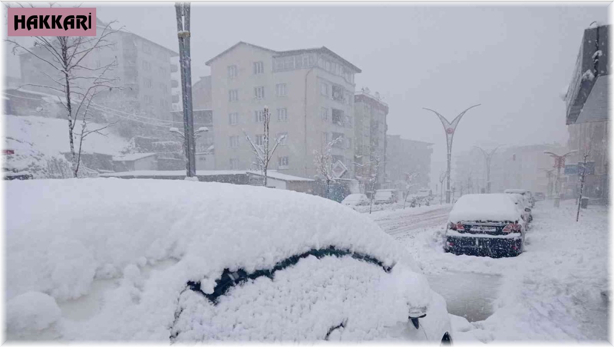 Hakkari'de 179 yerleşim yerinin yolu ulaşıma kapandı