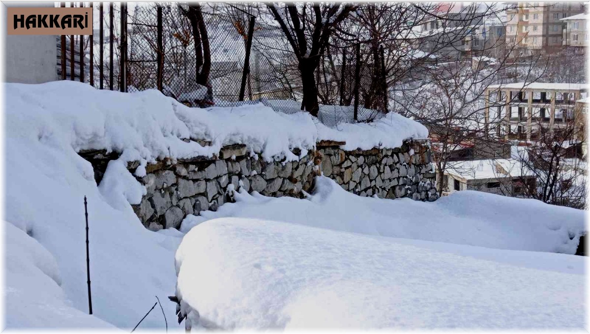Hakkari'de 196 yerleşim yerinin yolu ulaşıma kapandı