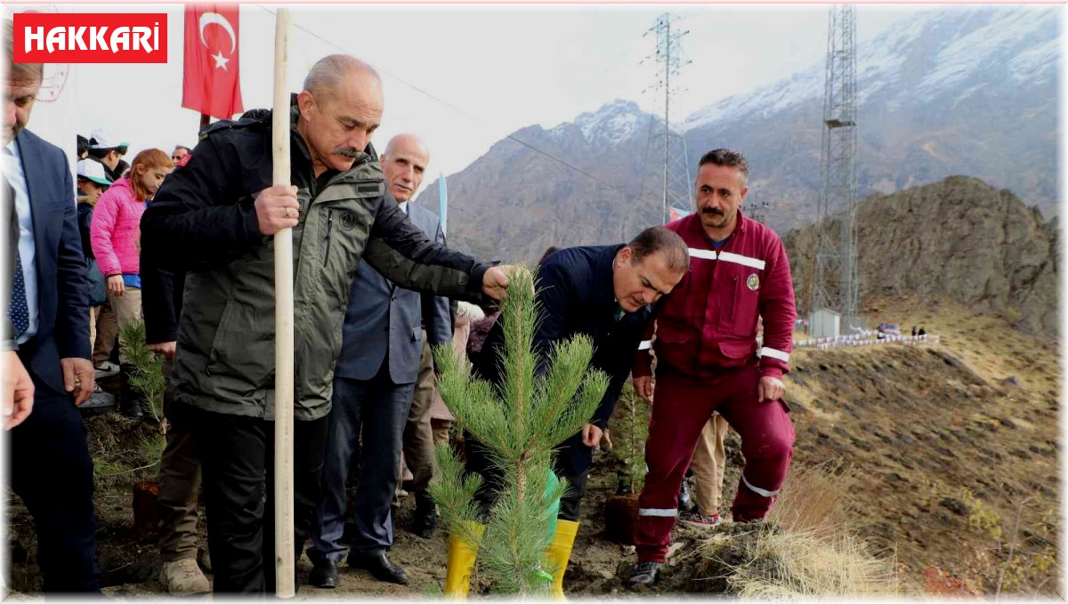 Hakkari'de 2 bin 500 fidan dikildi