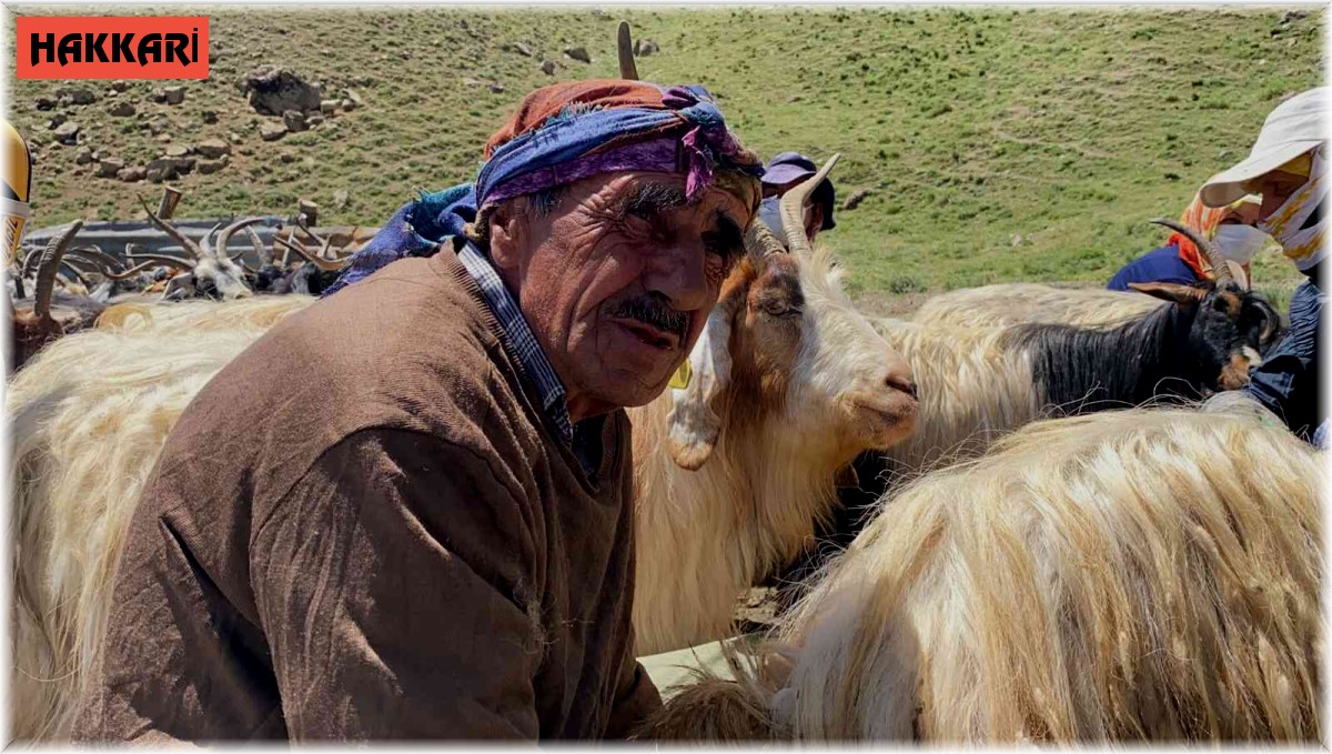 Hakkari'de 2 bin küçükbaş hayvan dağıtıldı
