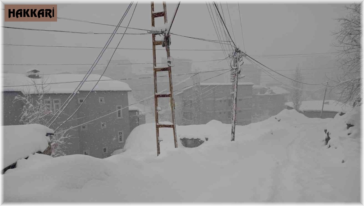 Hakkari'de 20 yerleşim yerinin yolu ulaşıma kapandı