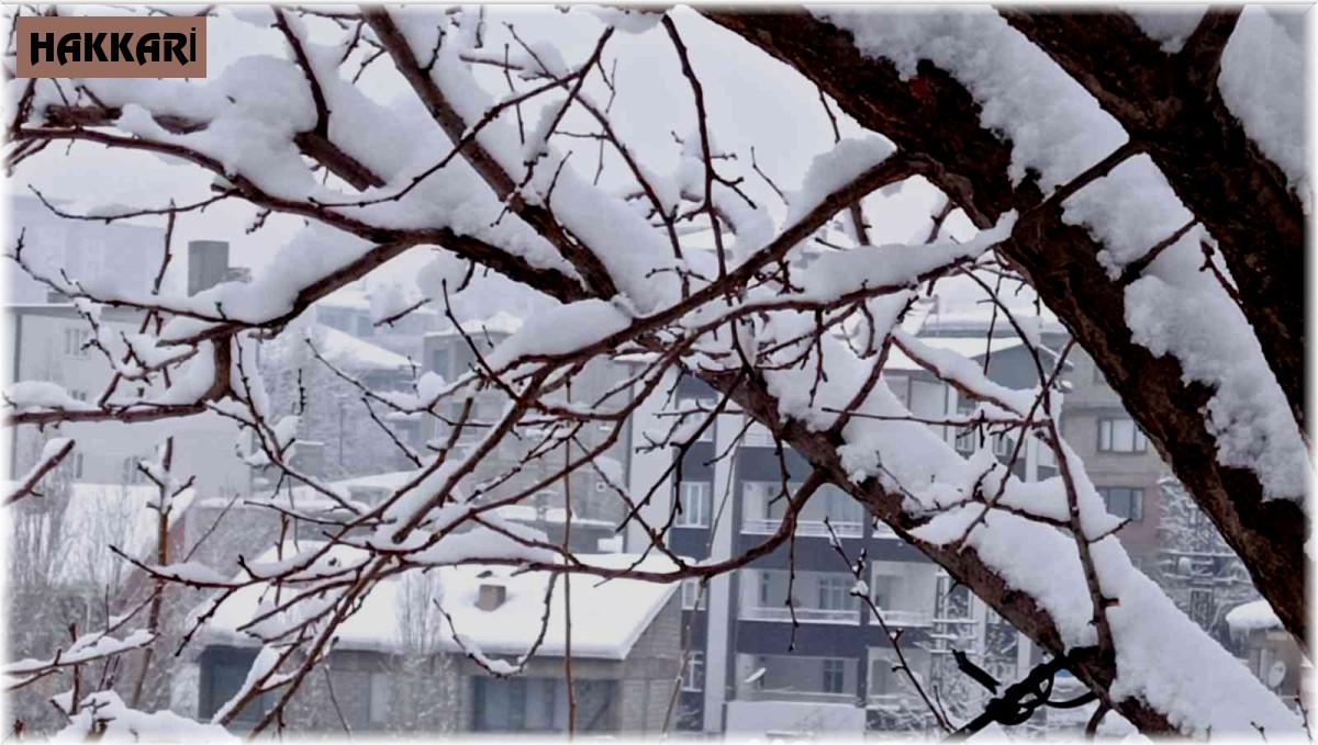 Hakkari'de 21 yerleşim yeri yolu ulaşıma kapandı