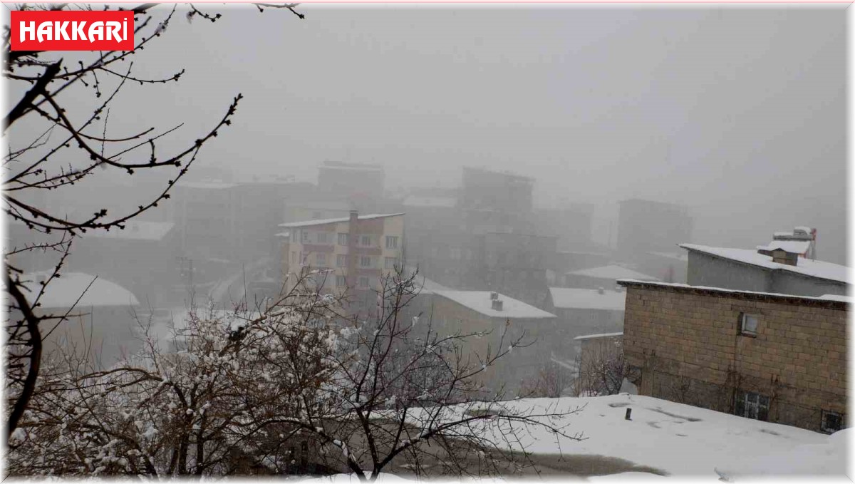 Hakkari'de 23 yerleşim yolu kapandı