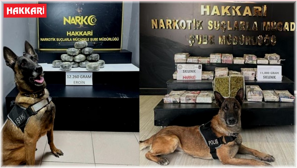 Hakkari'de 24 kilo 60 gram uyuşturucu ele geçirildi