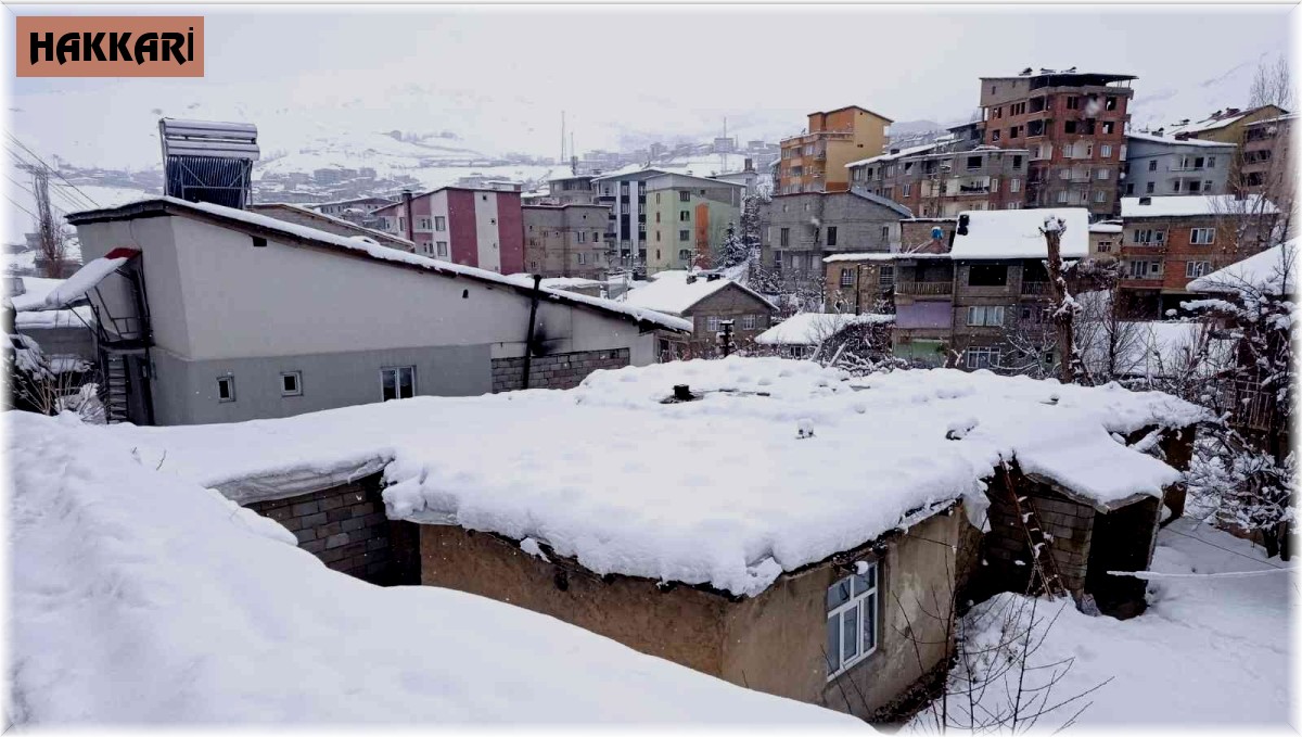 Hakkari'de 247 yerleşim yerinin yolu ulaşıma kapandı