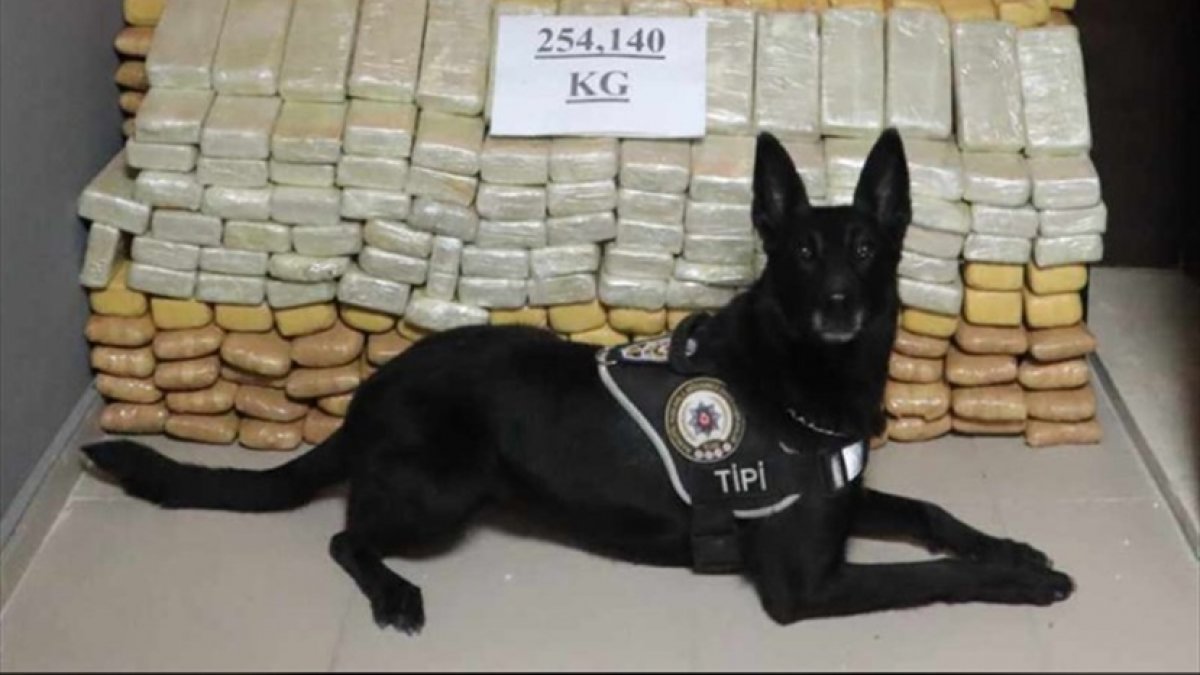 Hakkari'de 254 kilogram eroin ele geçirildi