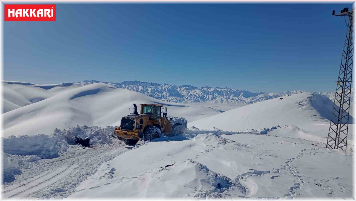 Hakkari'de 284 yerleşim yerinin yolu ulaşıma kapandı