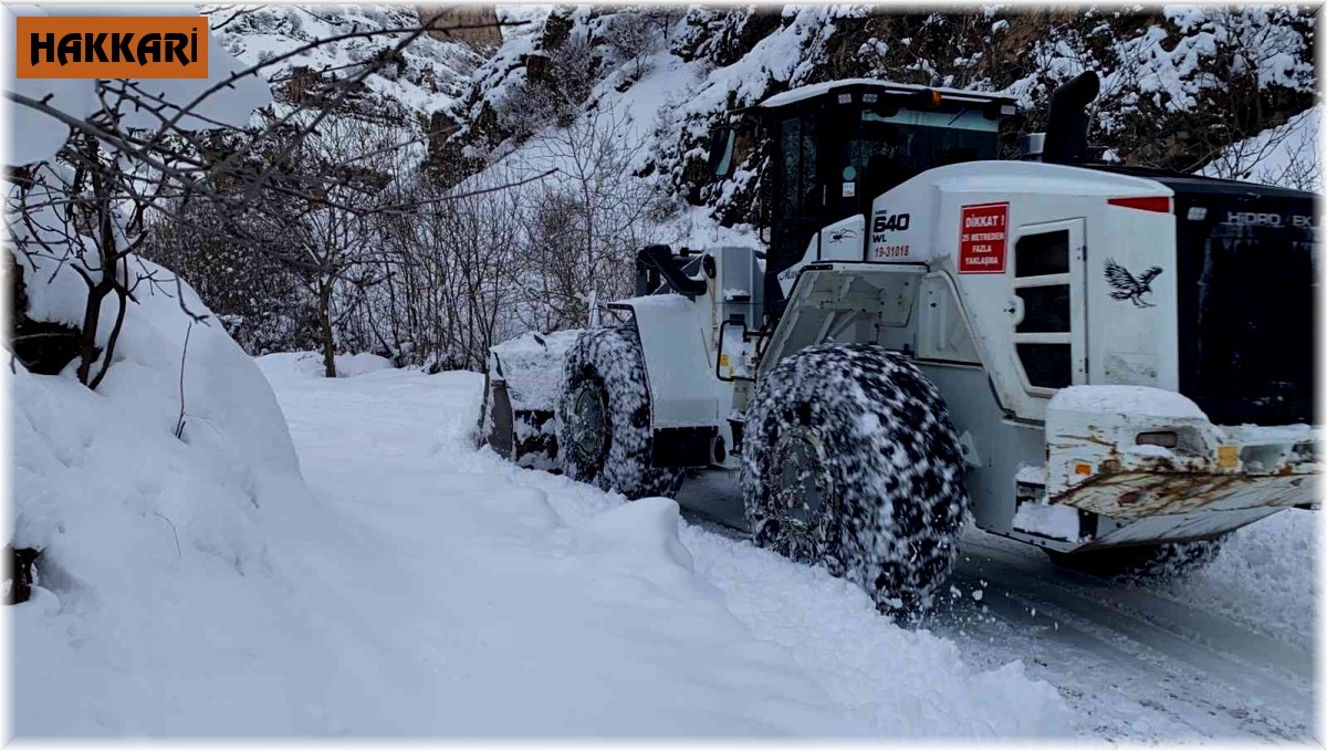 Hakkari'de 285 yerleşim yerinin yolu ulaşıma kapandı