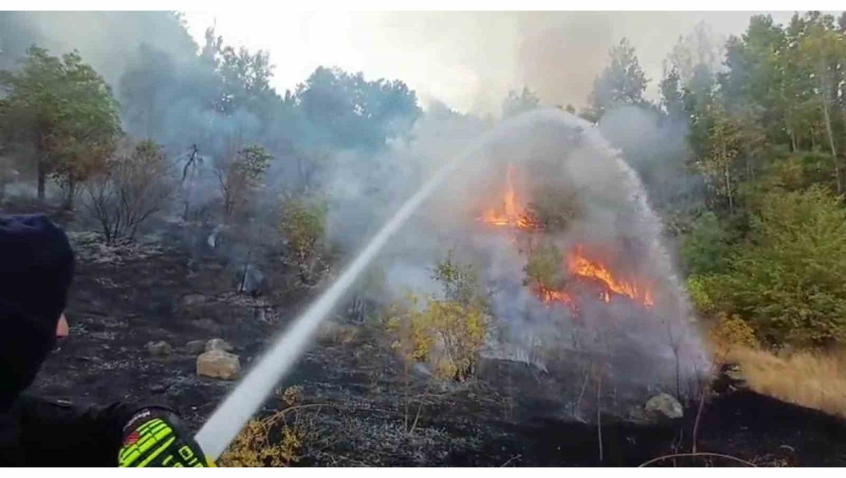 Hakkari'de 3 farklı bölgede çıkan yangın itfaiye ekiplerince söndürüldü