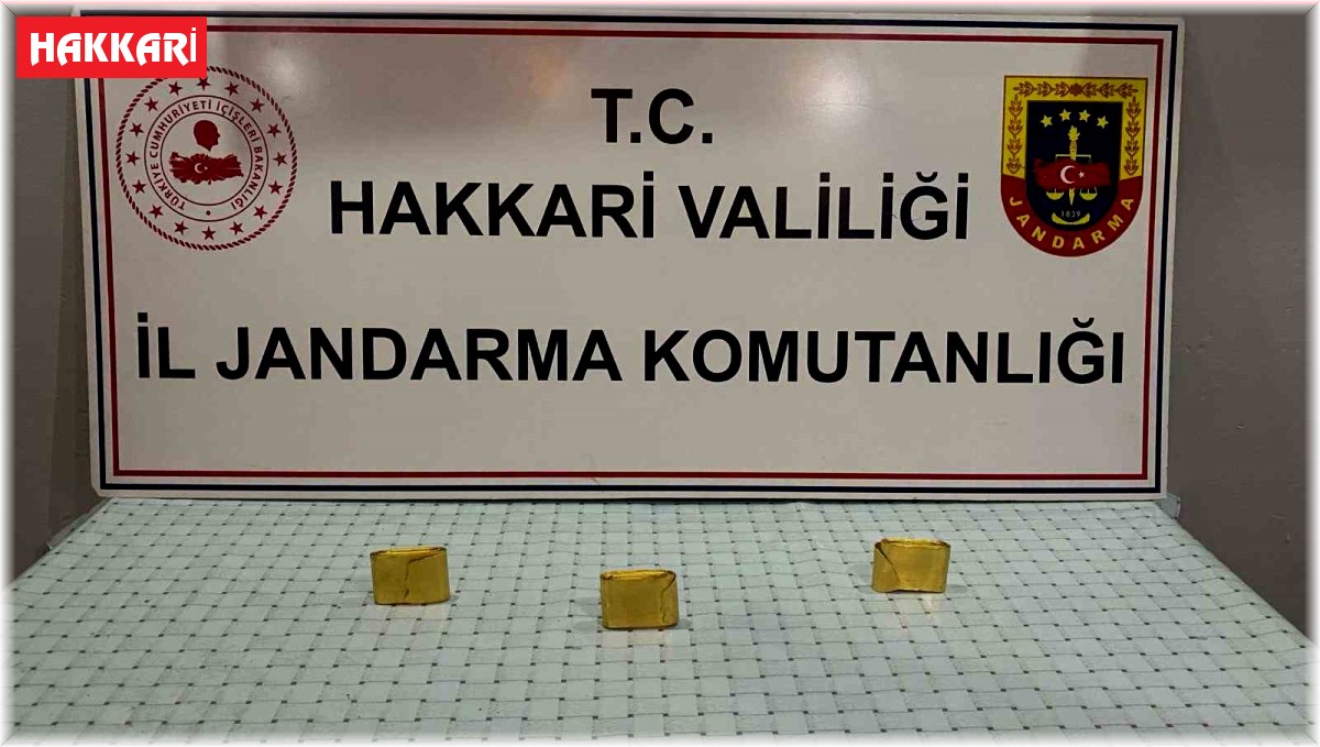 Hakkari'de 3 kilo altın ele geçirildi