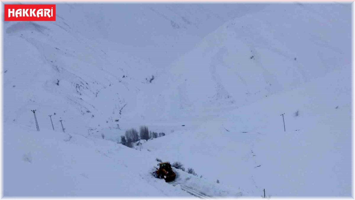 Hakkari'de 32 yerleşim yerinin yolu ulaşıma kapandı