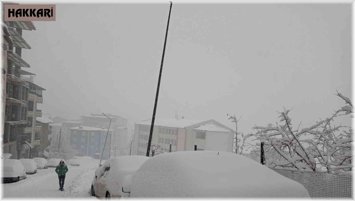 Hakkari'de 325 yerleşim yerinin yolu kapandı