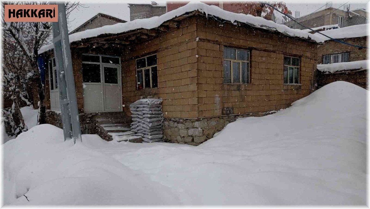 Hakkari'de 328 yerleşim yerinin yolu kapandı