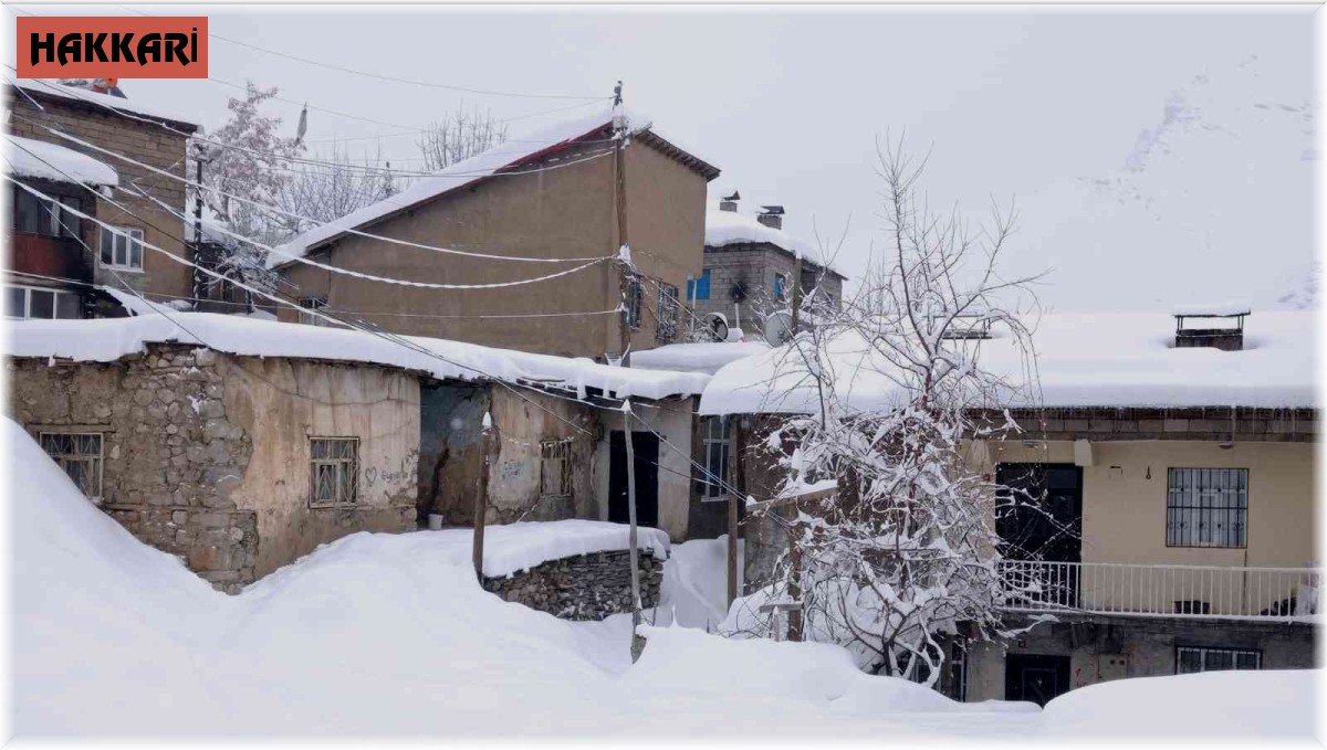 Hakkari'de 346 yerleşim yerinin yolu ulaşıma kapandı