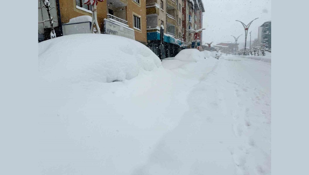 Hakkari'de 357 yerleşim yerinin yolu kapandı