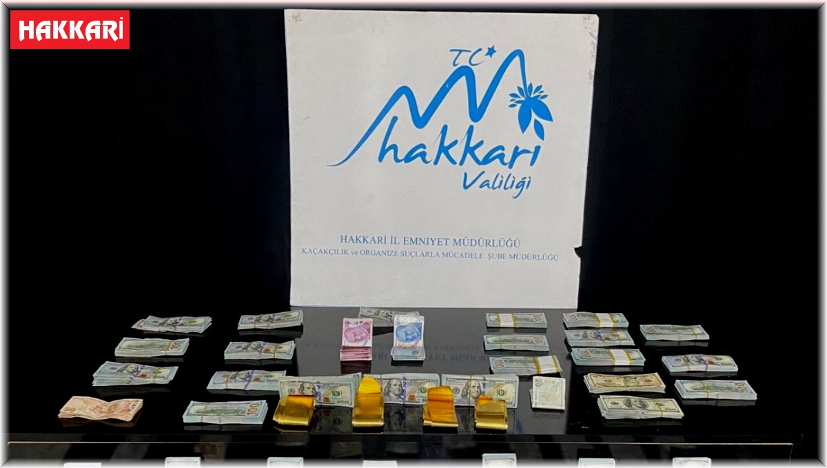 Hakkari'de 358 bin 430 dolar ile 4 kilo kaçak altın ele geçirildi