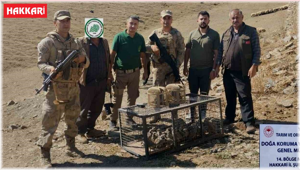 Hakkari'de 37 kınalı kekliğe el konuldu