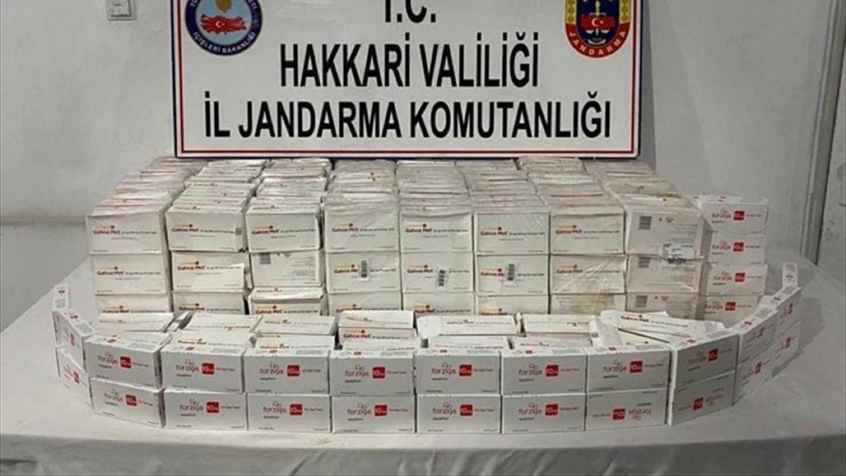 Hakkari'de 383 kutu kaçak ilaç ele geçirildi