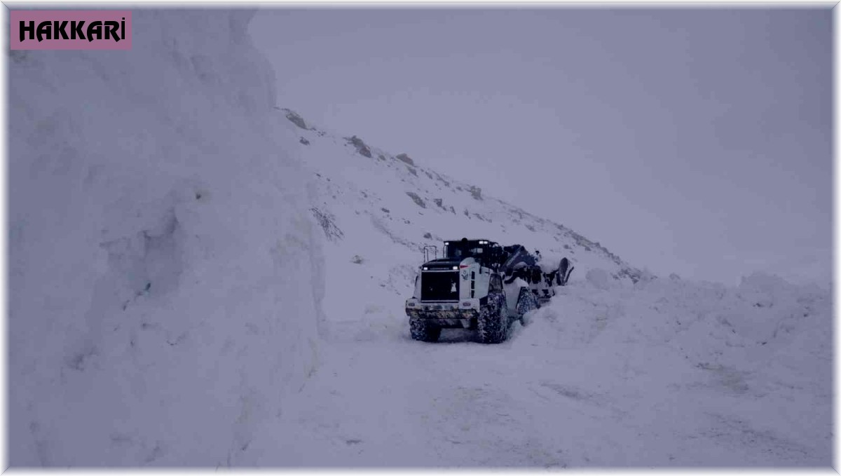 Hakkari'de 40 köy yolu ulaşıma kapandı