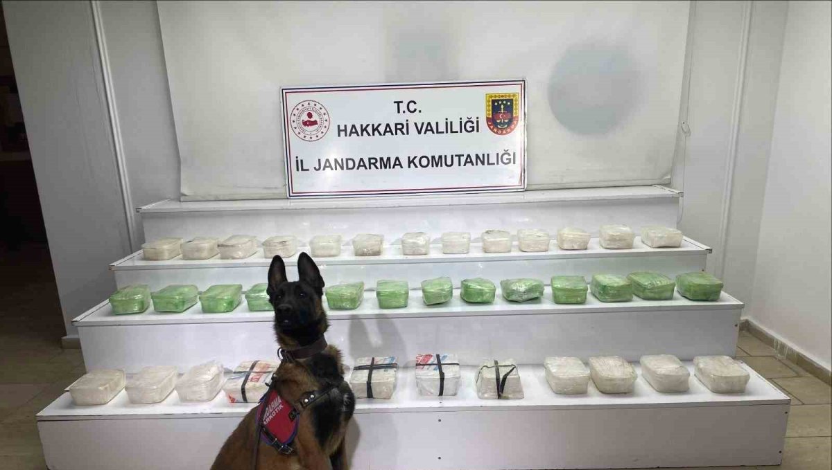 Hakkari'de 43 kilo metamfetamin ele geçirildi