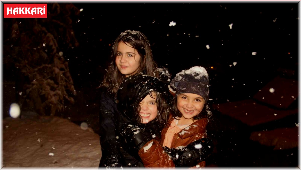 Hakkari'de 45 köy, 110 mezra yolu ulaşıma kapandı